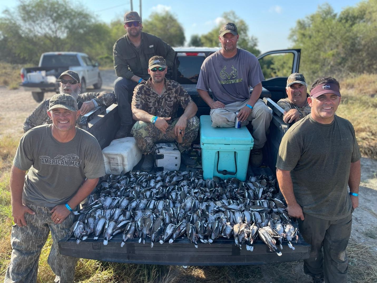 dove hunting trip texas